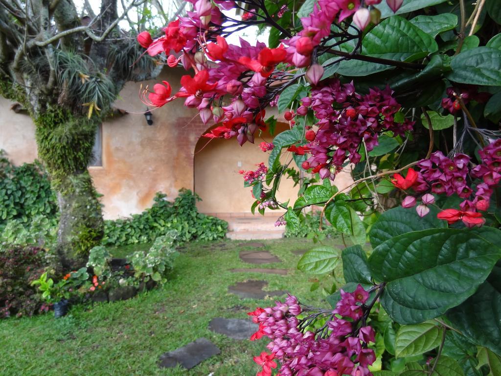 Valle Primavera Otel Boquete Dış mekan fotoğraf